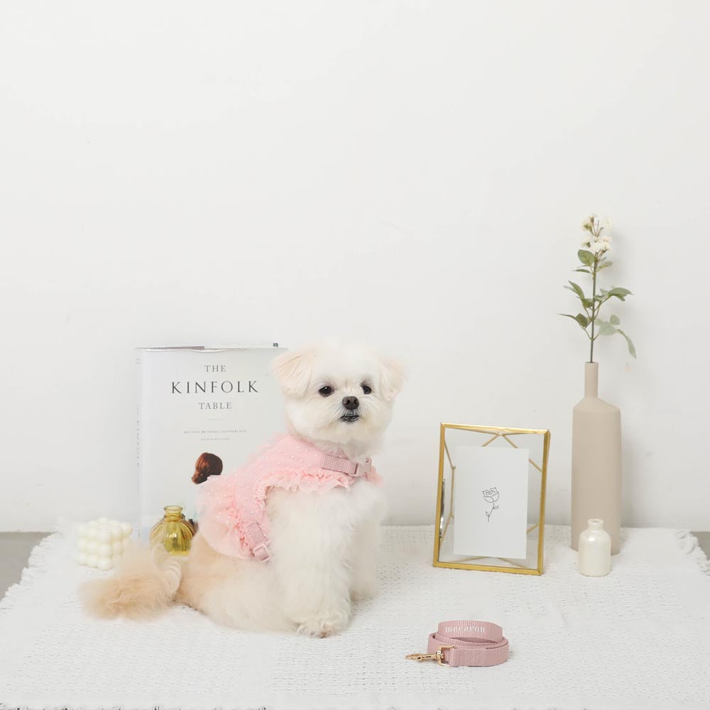 Dot tulle harness + lead SET [Compatible with name embroidery] [Compatible with ice packs]