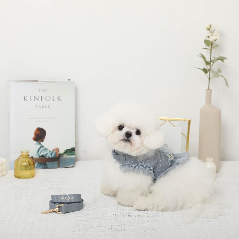 Dot tulle harness + lead SET [Compatible with name embroidery] [Compatible with ice packs]