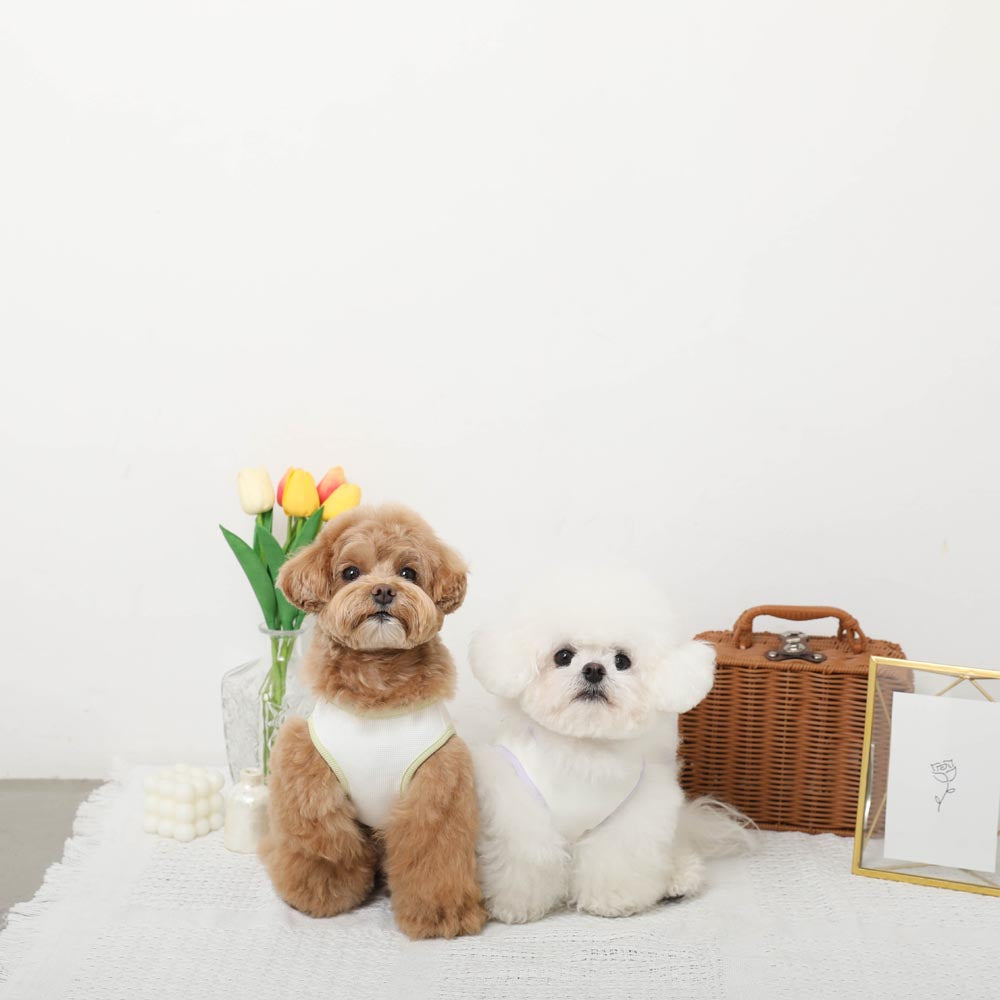 Cool Insect Repellent Dog Cafe Time Print Sleeveless Top [Compatible with ice packs]