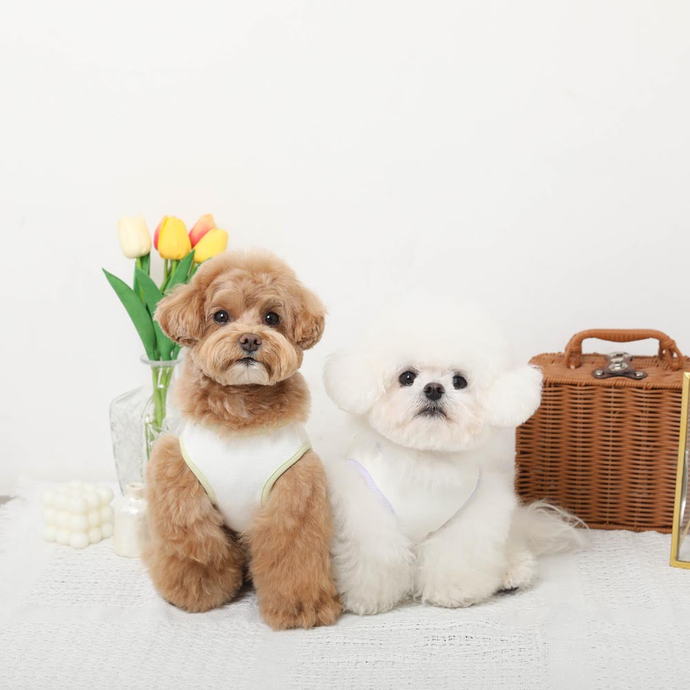 Cool Insect Repellent Dog Cafe Time Print Sleeveless Top [Compatible with ice packs]