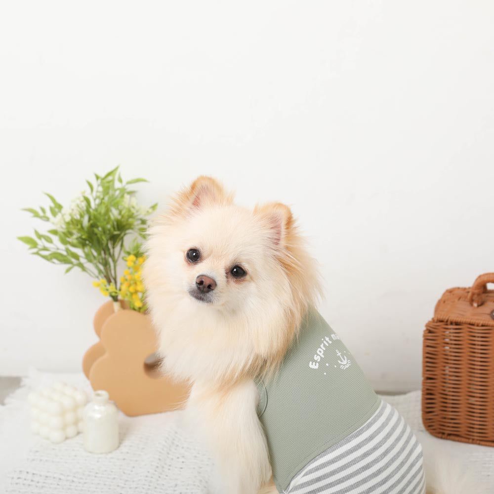 Cold feeling insect repellent logo border romper [cold pack compatible]