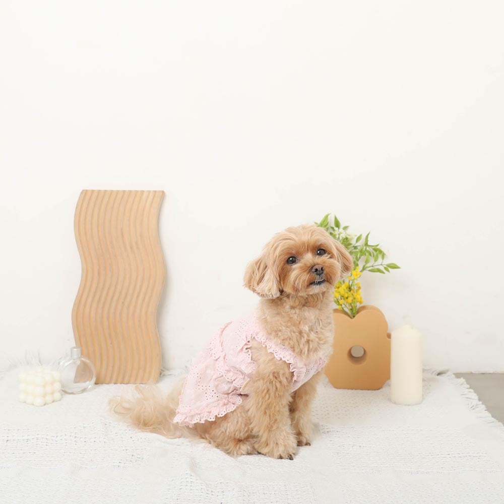Cool cotton lace frill camisole dress