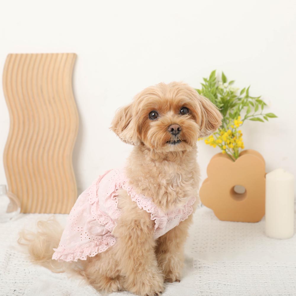 Cool cotton lace frill camisole dress