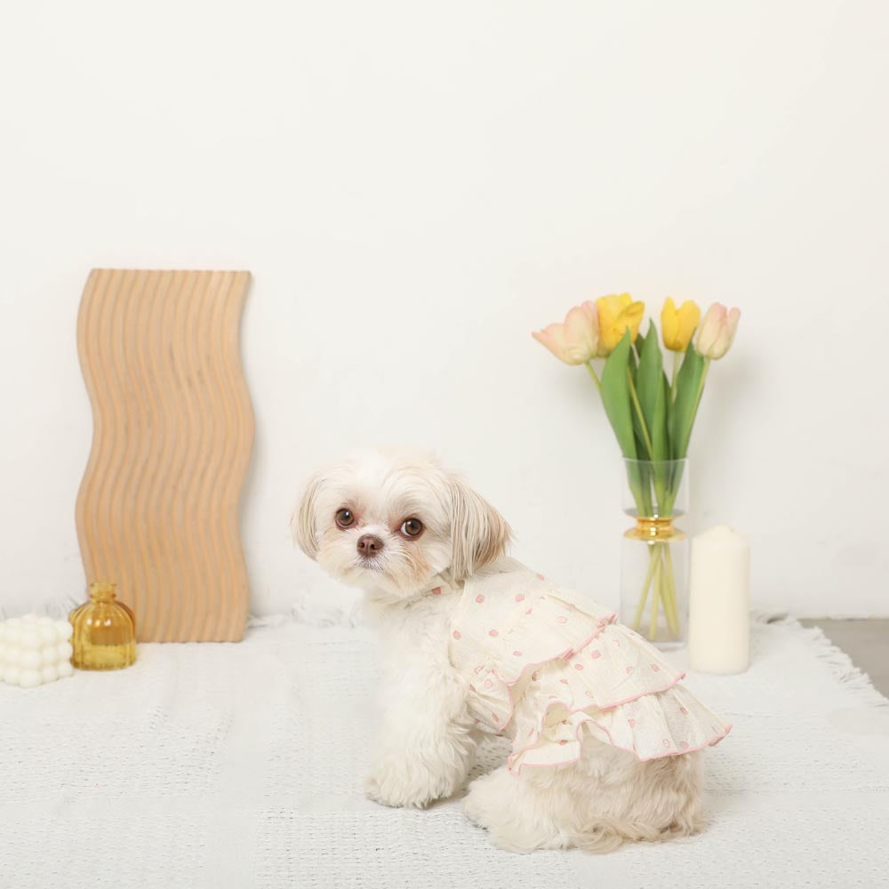 ハンドメイド犬服・キュート苺と テディベア 柄メッシュギャザー