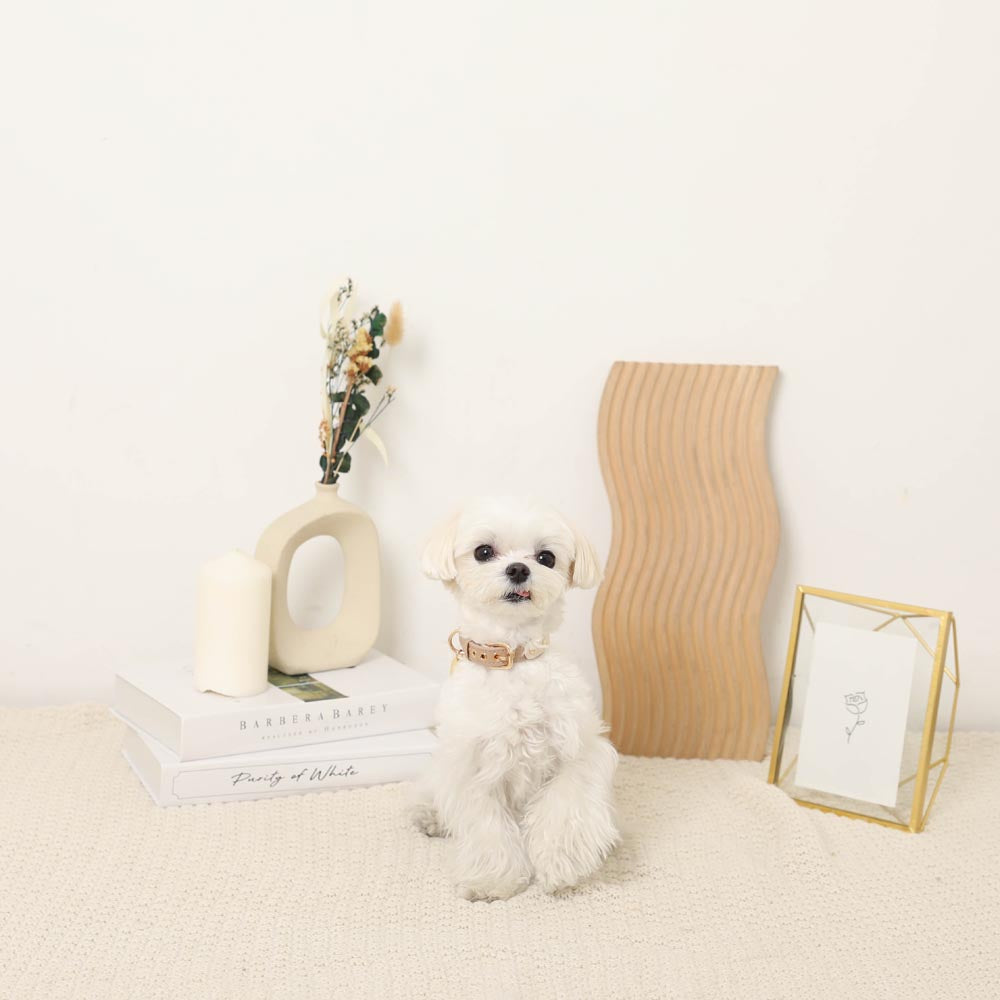 Bicolor eco leather color [Supports name engraving]