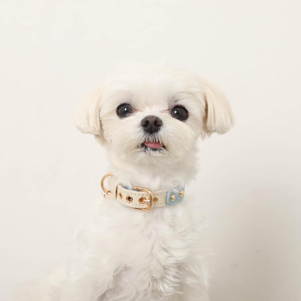 バイカラーエコレザーカラー【名入れ彫刻対応】