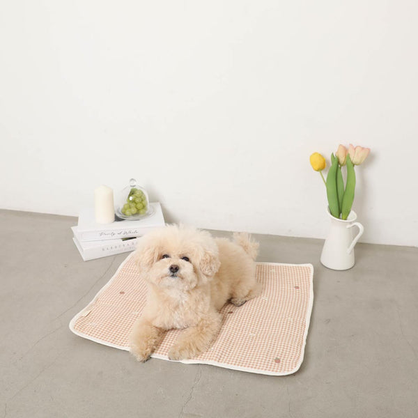 ギンガムチェックいちご柄ふんわりカフェマット【名入れ刺繍対応】