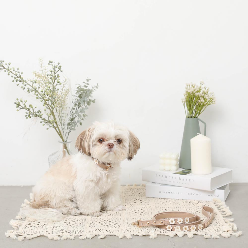 Flower motif color + lead SET [Compatible with name engraving]