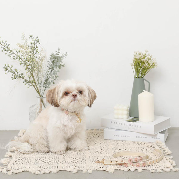 フラワーモチーフカラー＋リードSET【名入れ彫刻対応】