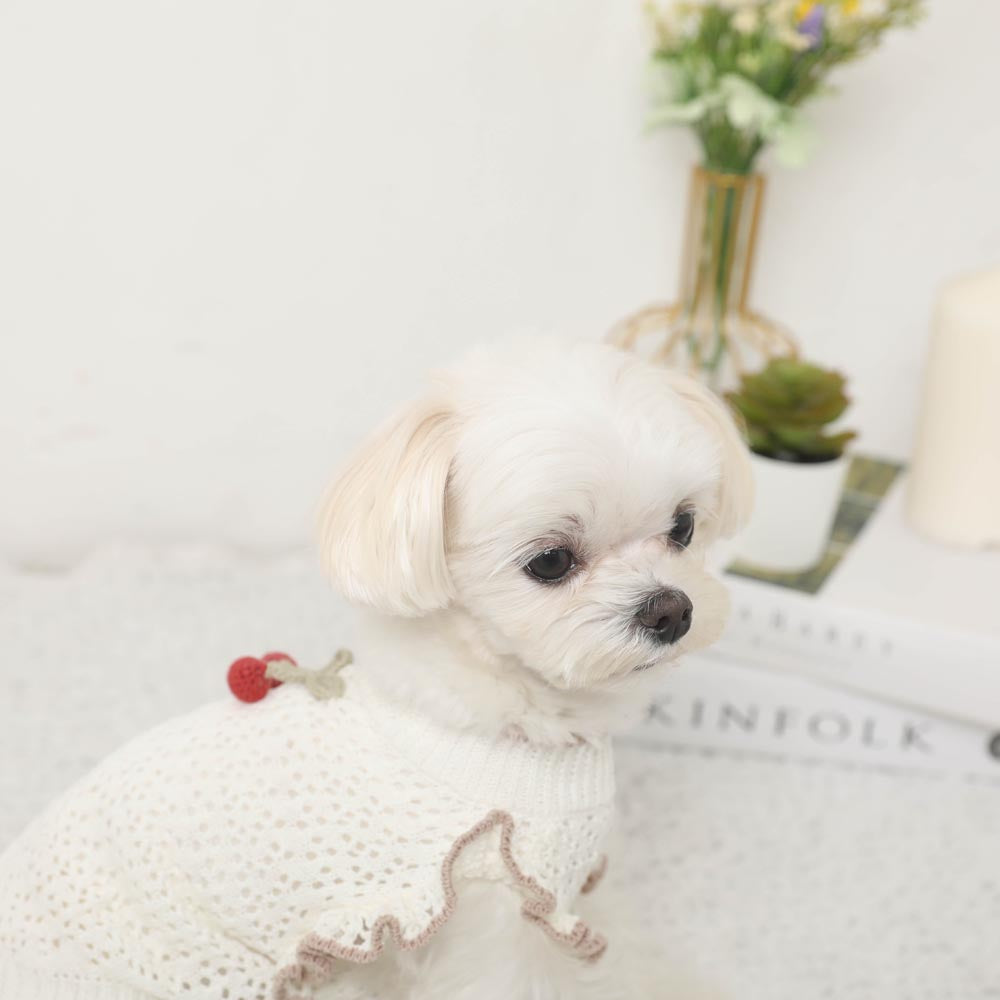 Cool cherry motif summer knit tops