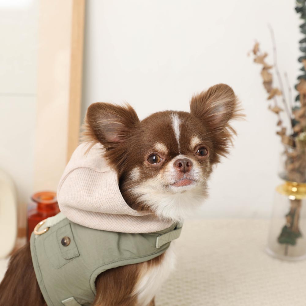 Casual mini pocket hooded nylon harness + lead set [Compatible with name embroidery]
