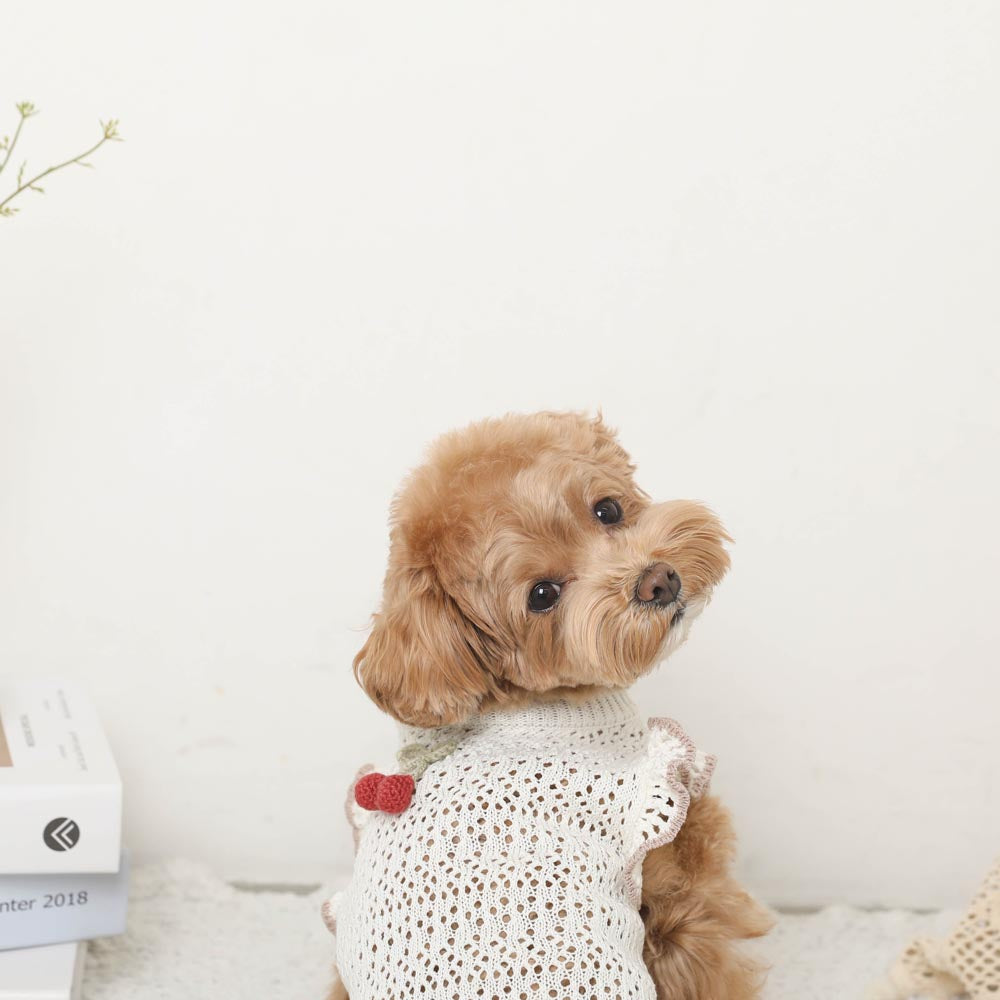 Cool cherry motif summer knit tops