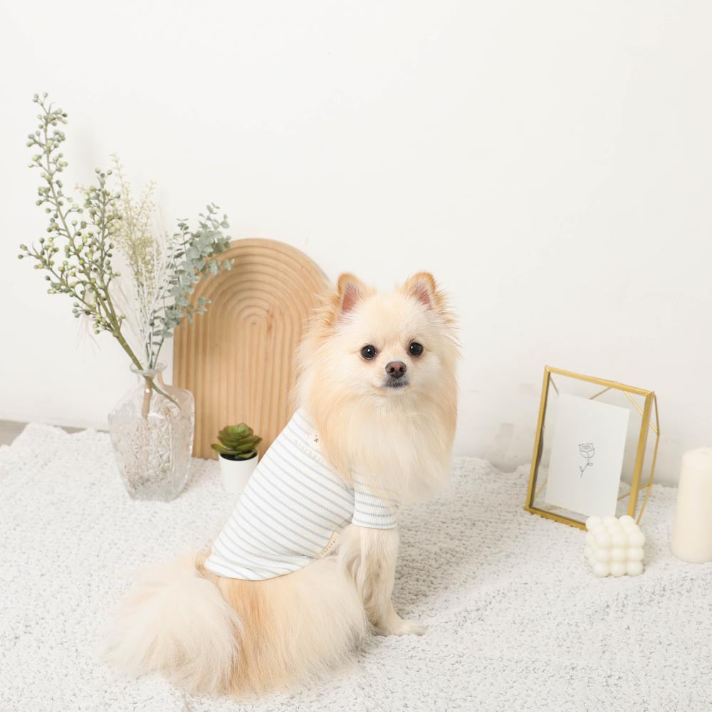 ボーダー刺繍Tシャツ【保冷剤対応】
