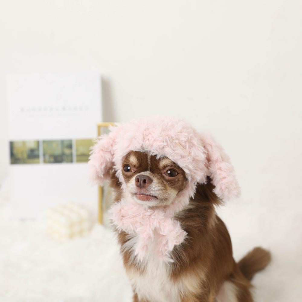 Rabbit knit hat