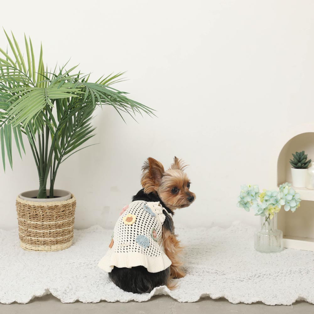 Summer motif shoulder ruffle knit dress