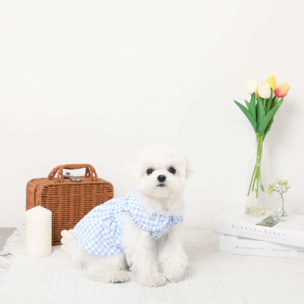 Cool gingham check shirring dress [ice pack compatible]
