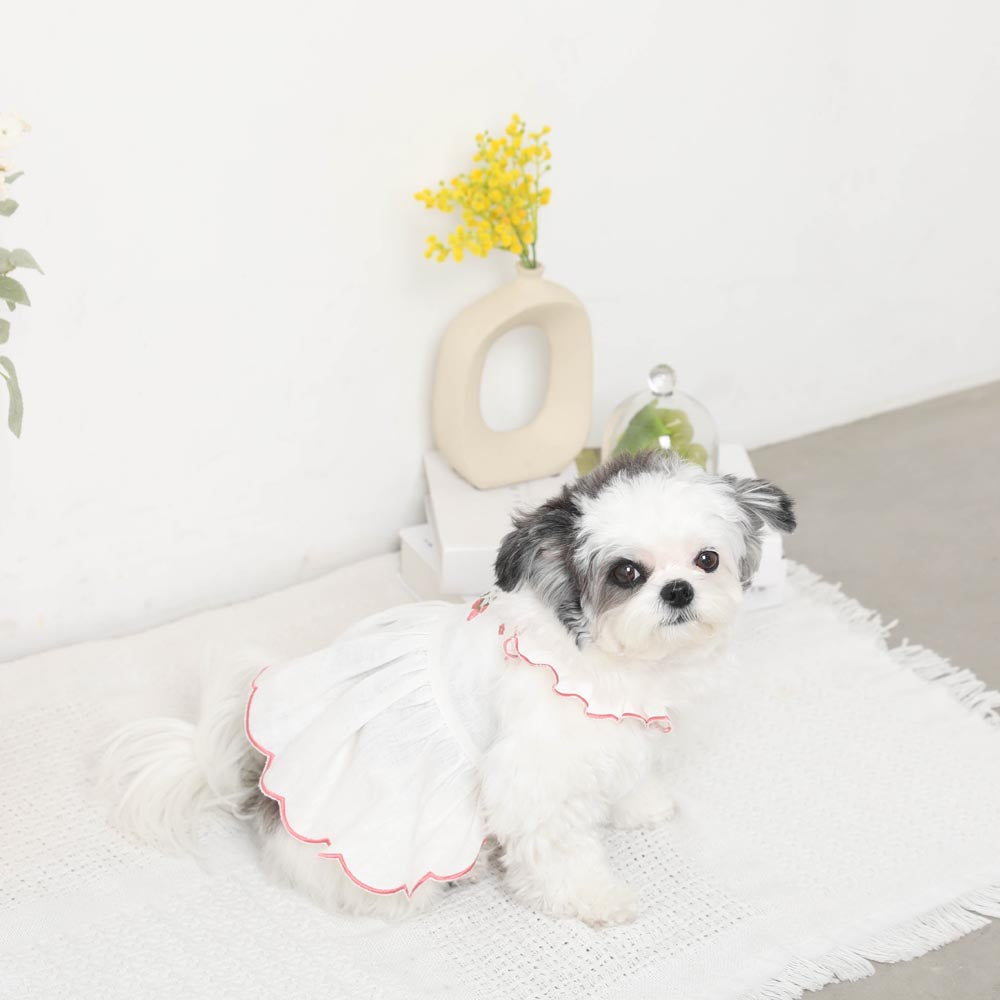 Cool strawberry pattern embroidered scalloped dress [cold pack compatible]