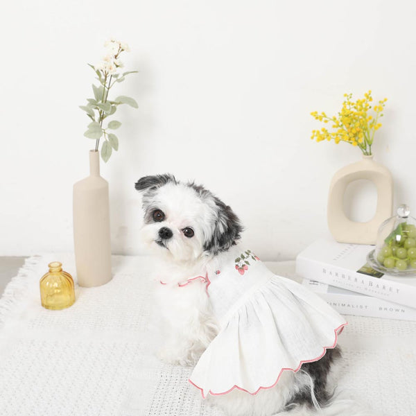 Cool strawberry pattern embroidered scalloped dress [cold pack compatible]