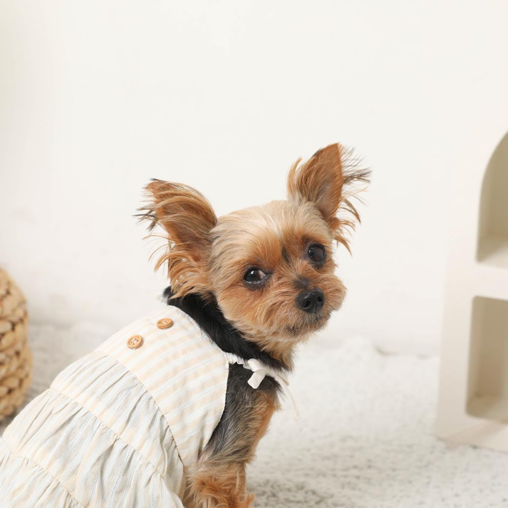 Cool striped tiered cami dress [Compatible with ice packs]