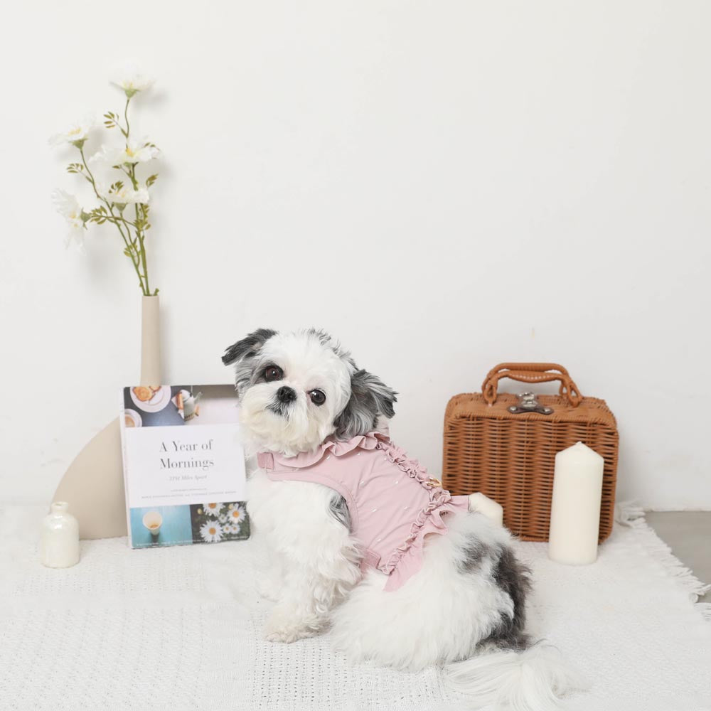 Cool heart embroidery frill harness + lead set [Compatible with name embroidery] [Compatible with ice packs]