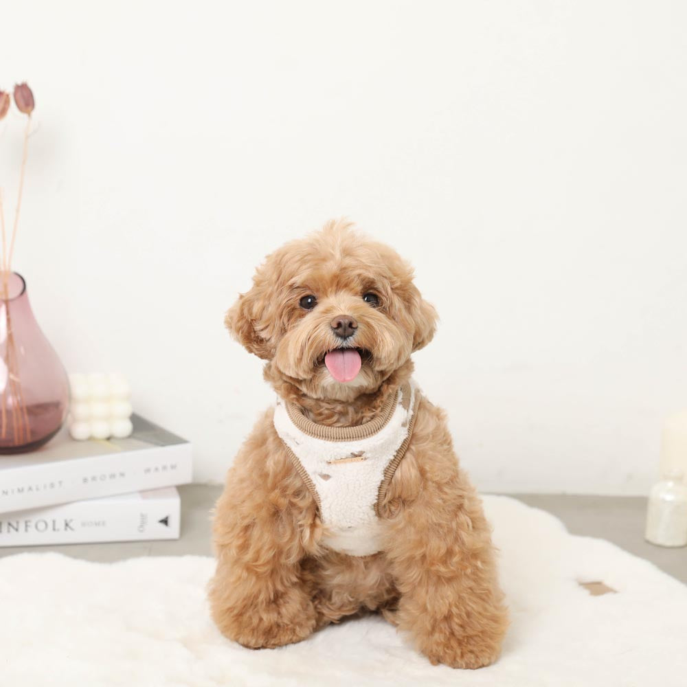 Boa heart embroidery harness + lead set [Name embroidery available]