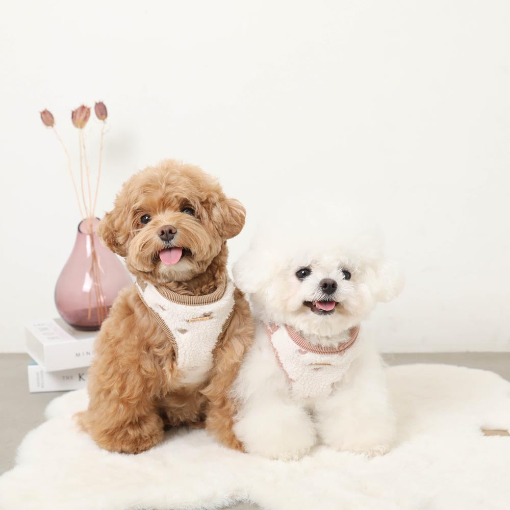 Boa heart embroidery harness + lead set [Name embroidery available]