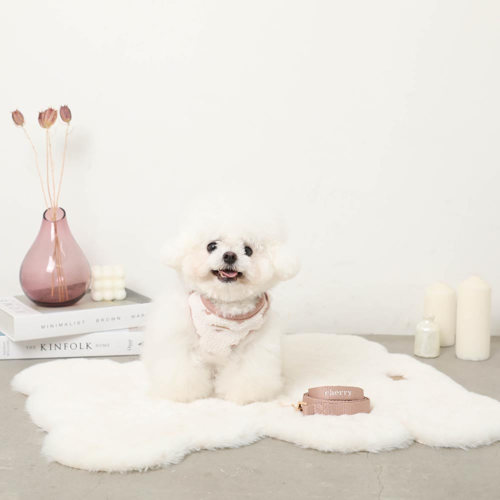 Boa heart embroidery harness + lead set [Name embroidery available]