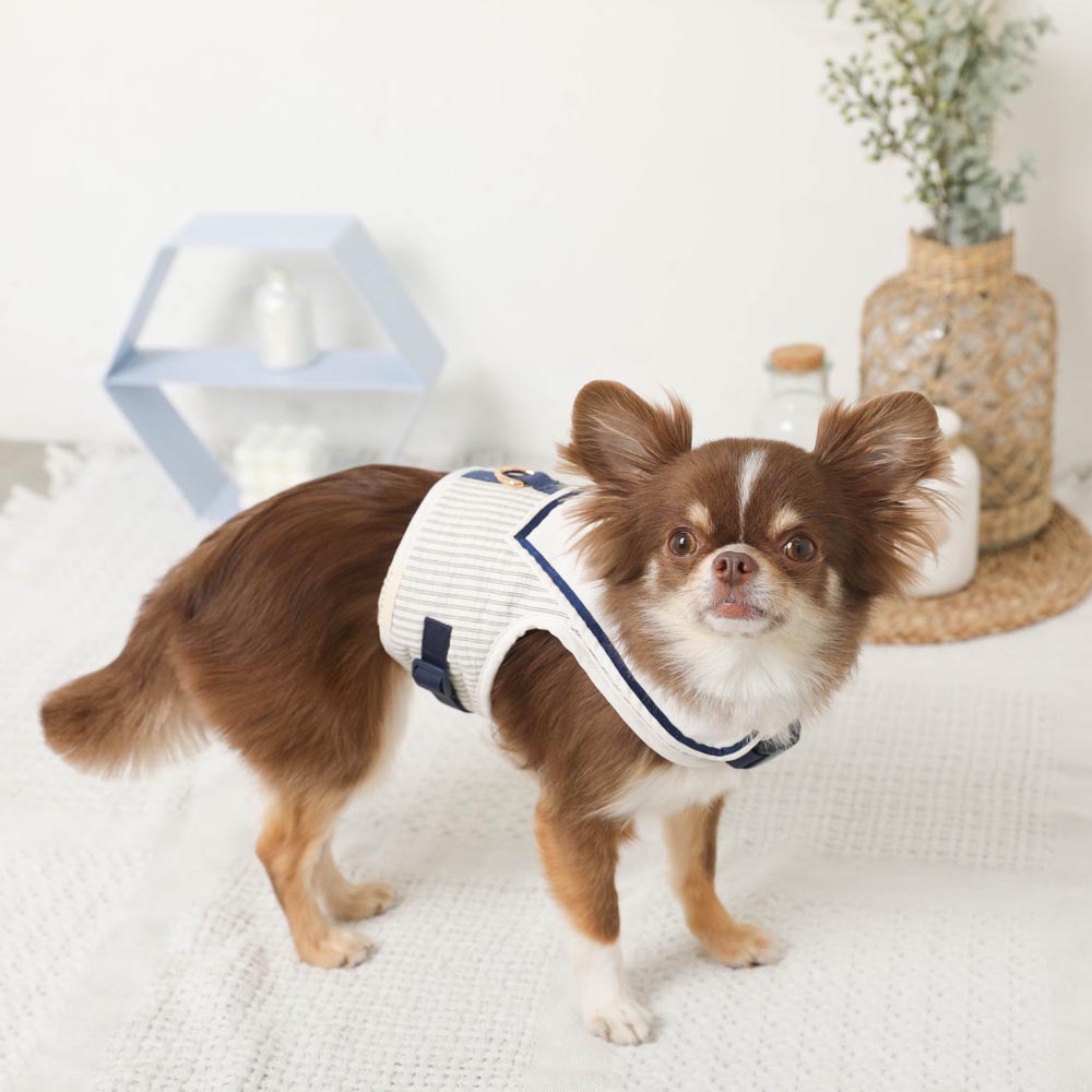 セーラーハーネス【名入れ刺繍対応】【保冷剤対応】