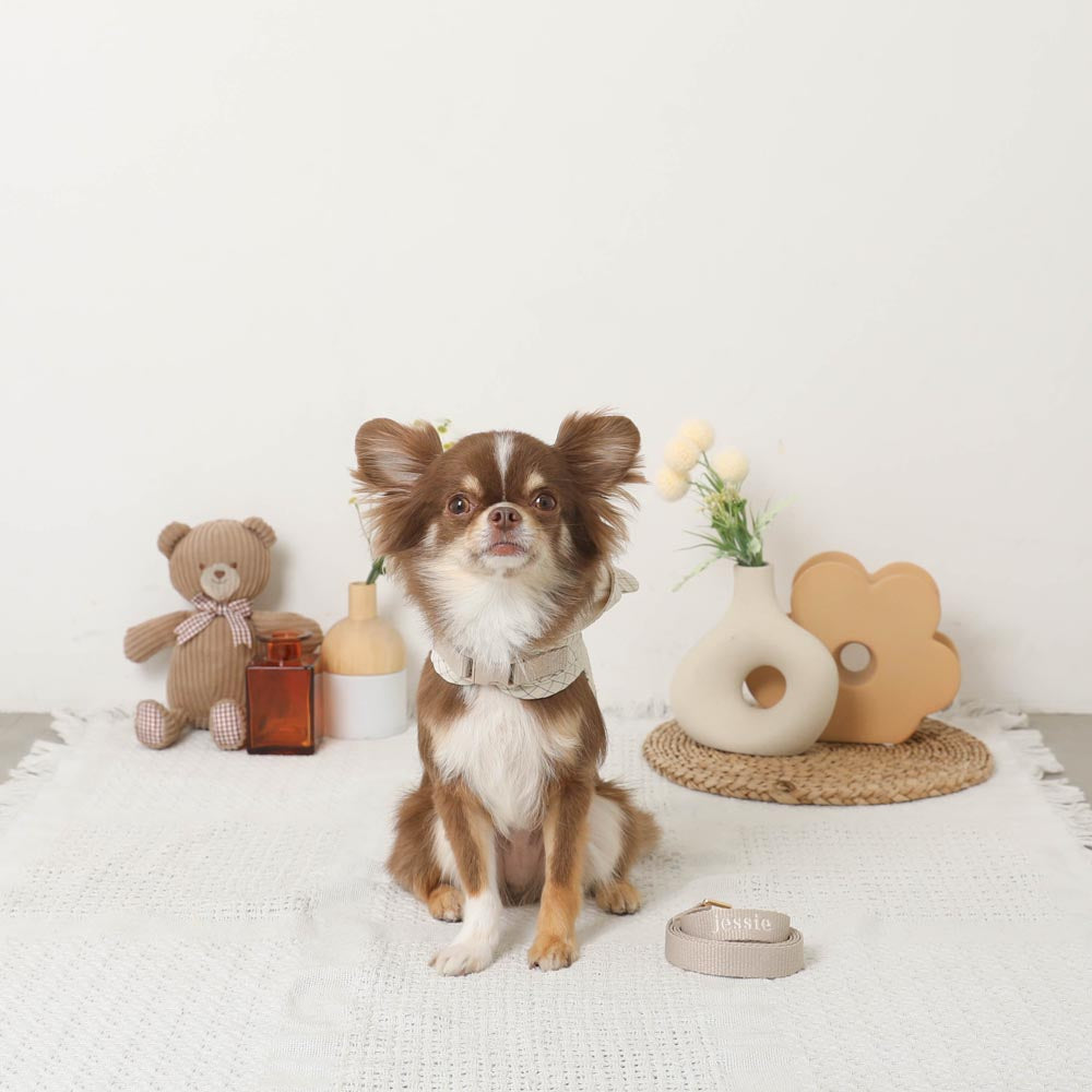 带冷感熊耳兜帽的格纹线束+导线设置【名入刺绣对应】【保冷剂对应】