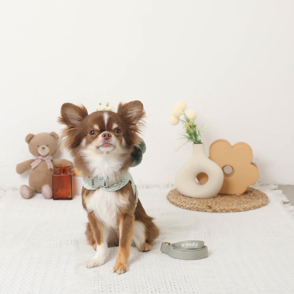 带冷感熊耳兜帽的格纹线束+导线设置【名入刺绣对应】【保冷剂对应】