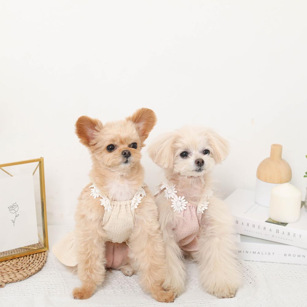 ♥︎︎Par様♥︎︎ ハンドメイド 犬服 フラワーストライプ レースワンピース 冷感フラワーレースショルダーワンピース【保冷剤対応】