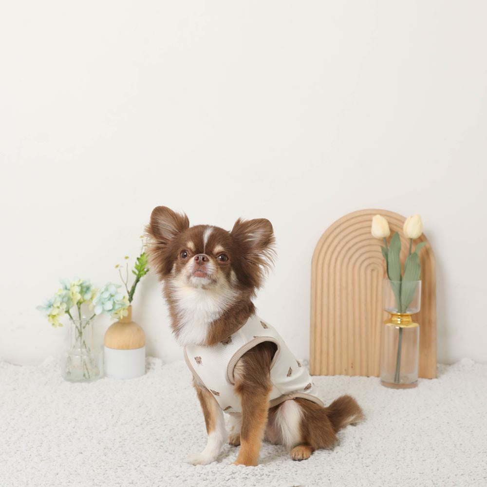 冷感メッシュくまさんプリントノースリーブトップス【保冷剤対応】