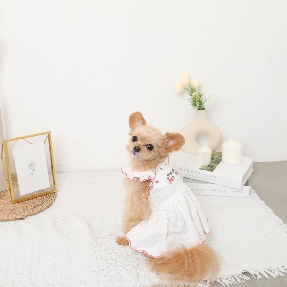 Cool strawberry pattern embroidered scalloped dress [cold pack compatible]