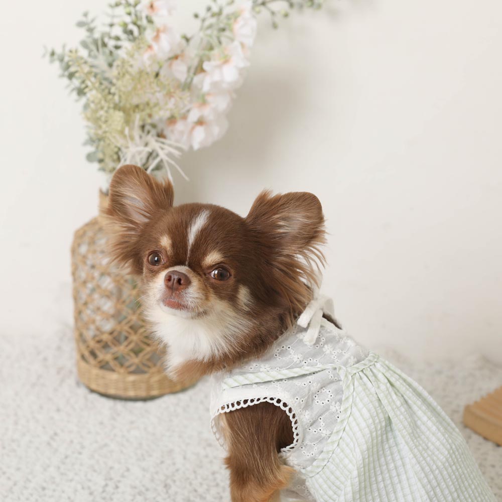 Cold feeling insect repellent lace sleeveless cami dress