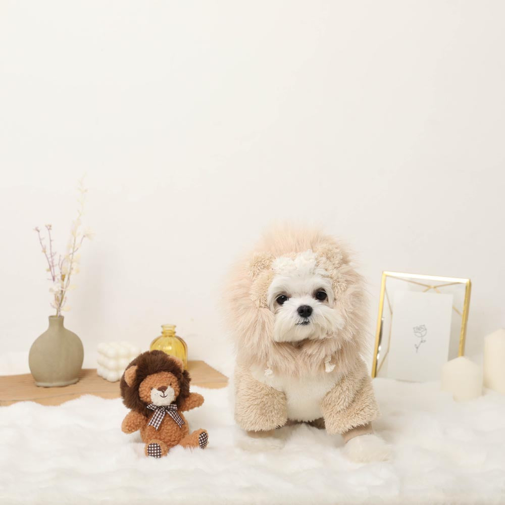 すべての商品 | ドッグウェア・犬服通販 - monchéri(モンシェリ)