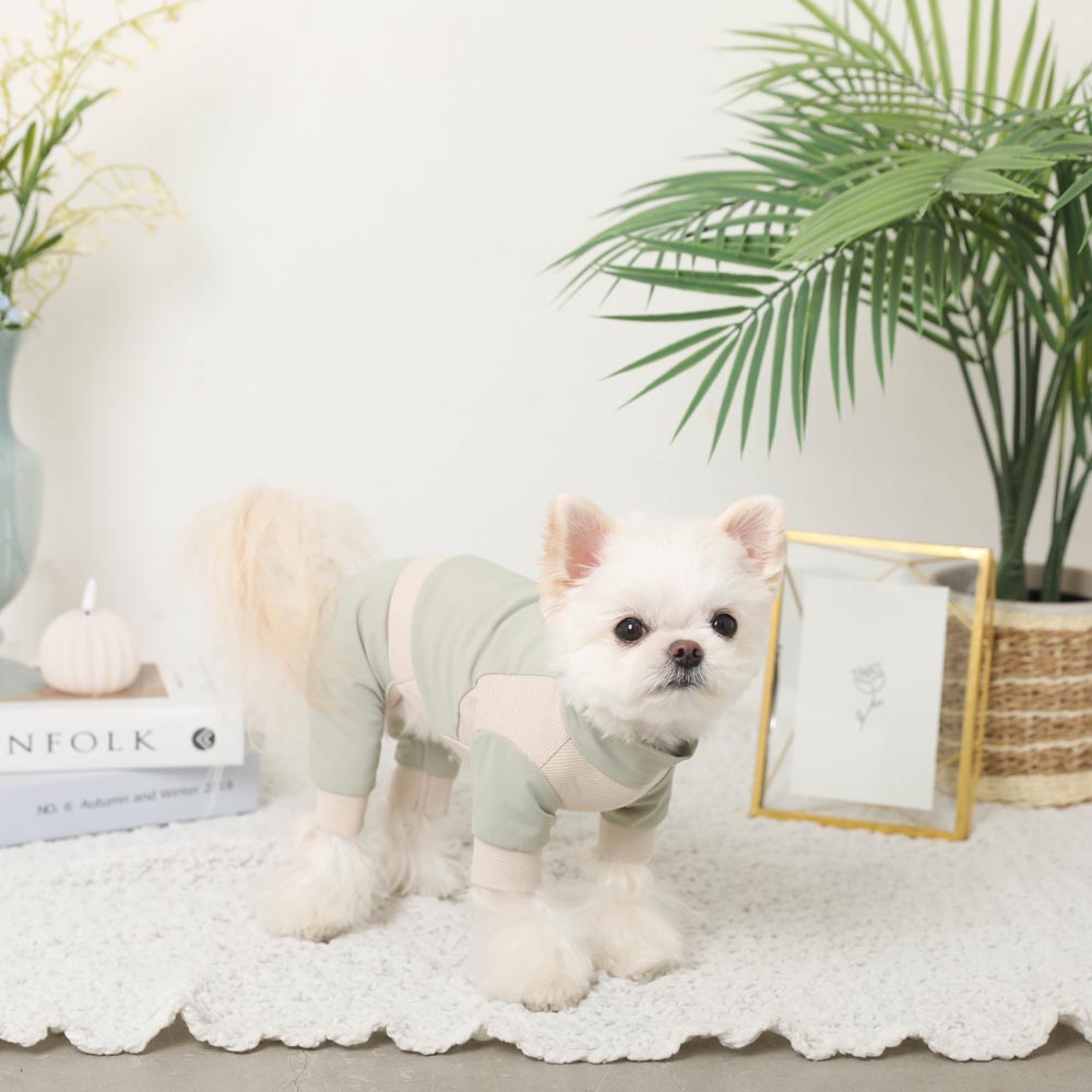 ♥︎︎めろんくりーむ様♥︎︎ ハンドメイド 犬服 フラワーストライプ