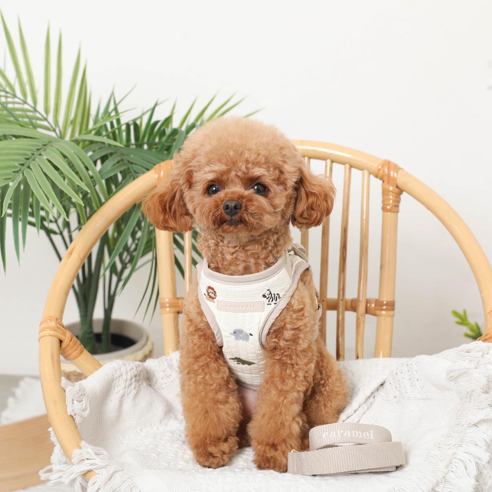 Animal pattern embroidery harness + lead set [Name embroidery available]