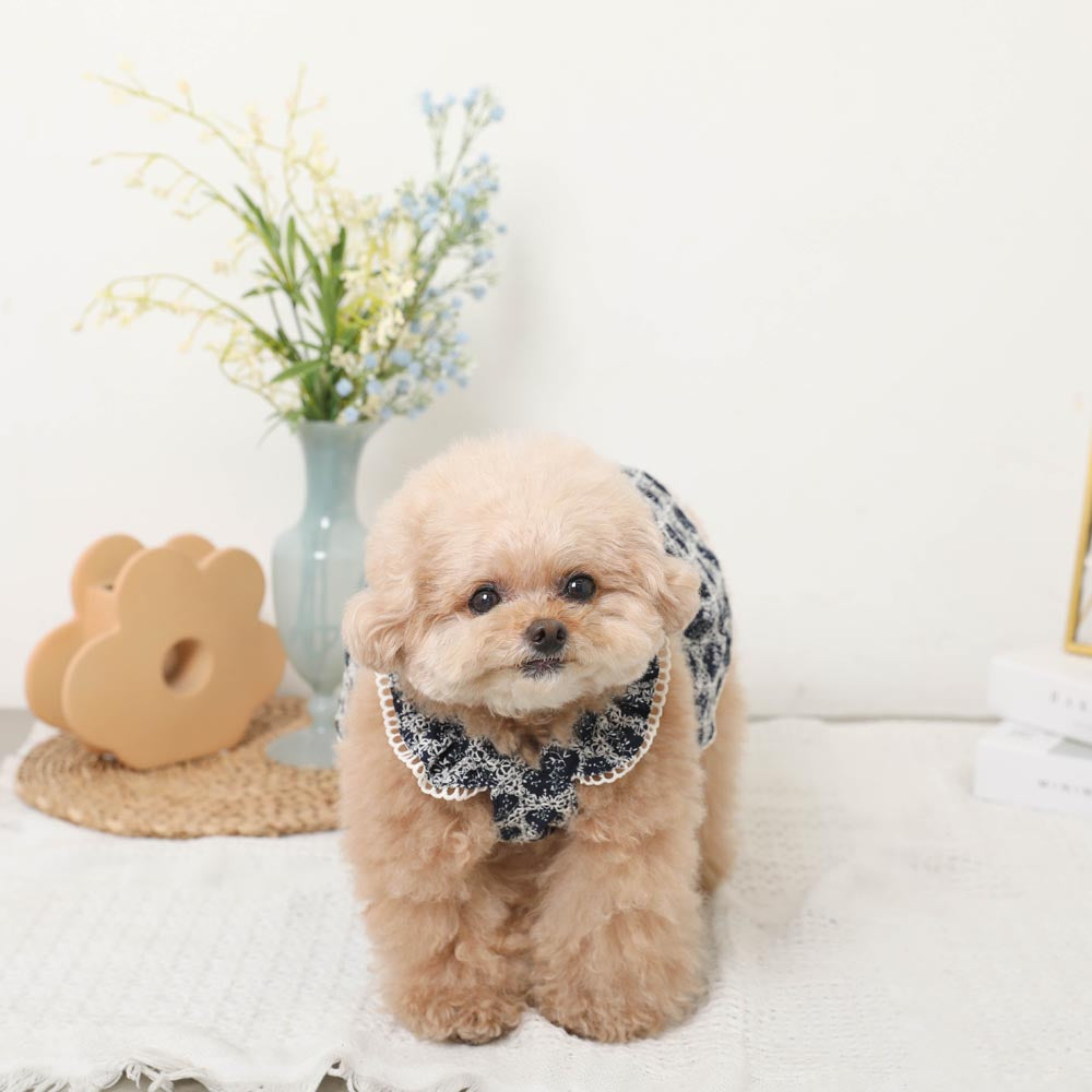 Cool frill ribbon floral pattern dress