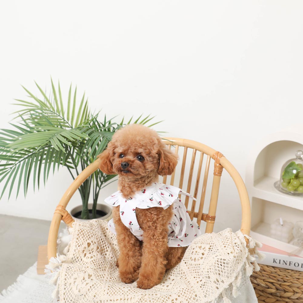 Cool frill ribbon fruit pattern dress