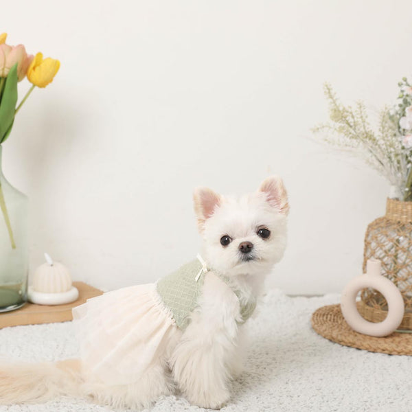 冷感チュールドッキングキャミソールワンピース【保冷剤対応】