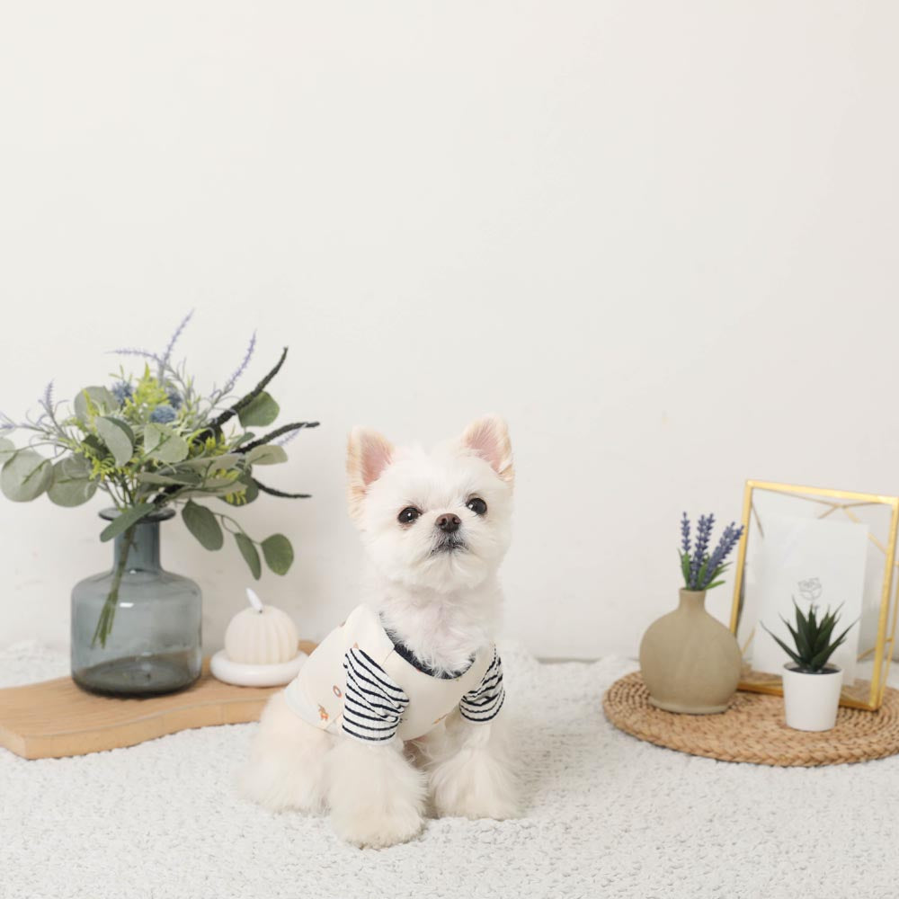 冷感くまさんサマープリントTシャツ【保冷剤対応】