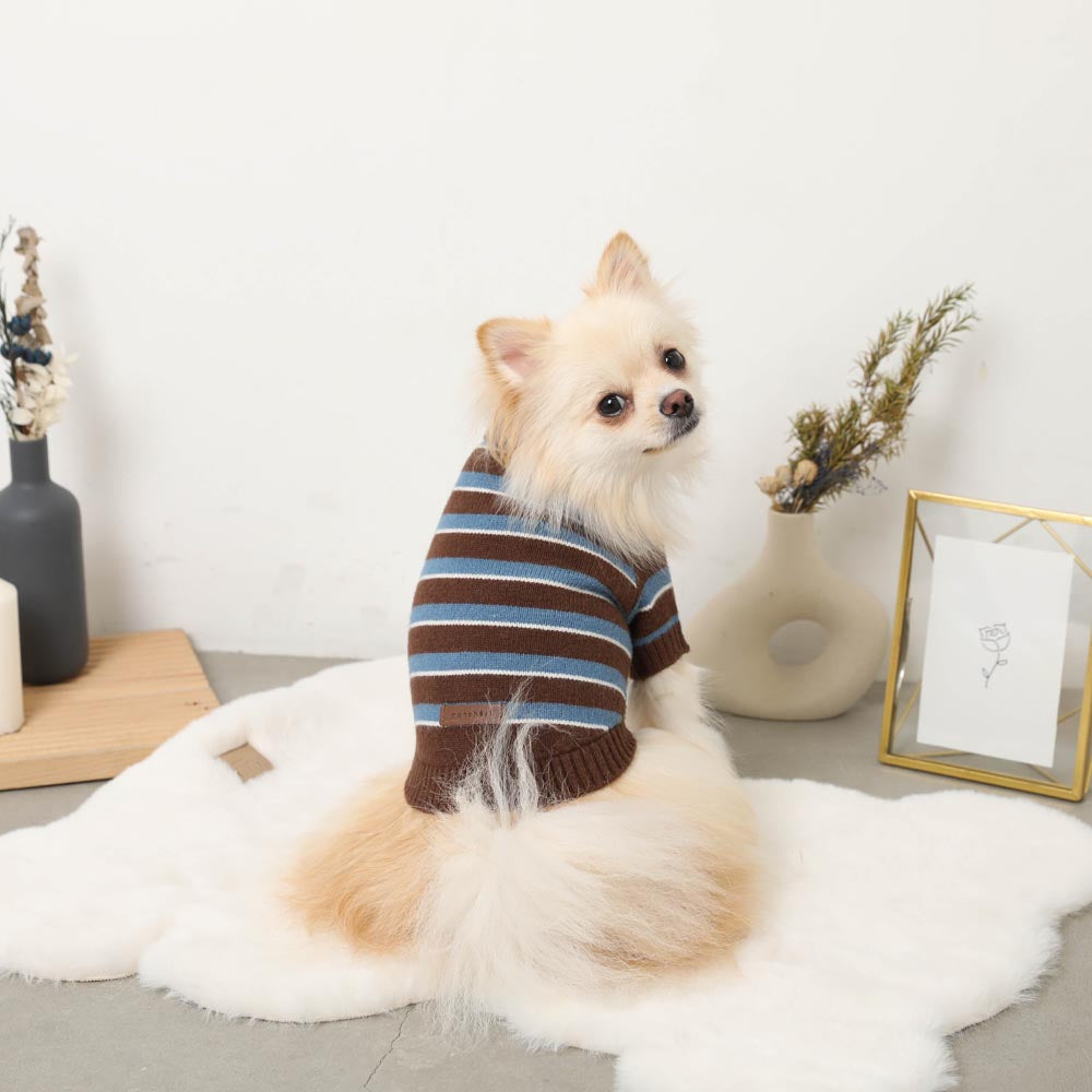 Multi-border knit top with collar