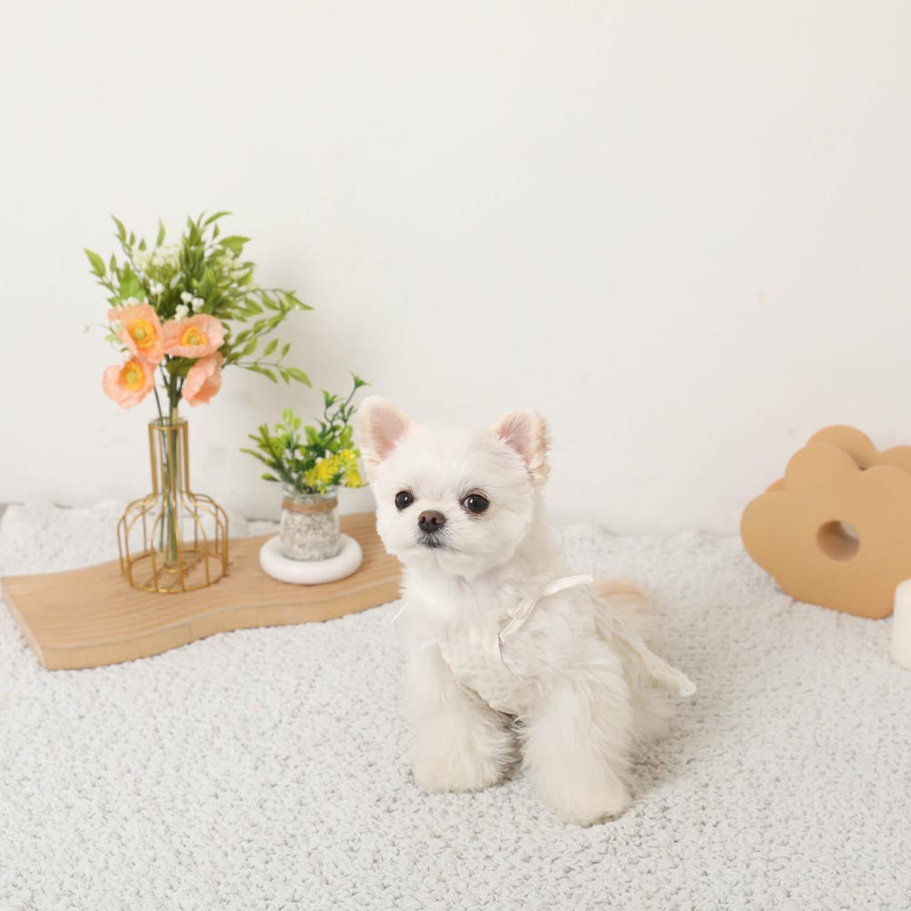 Cool striped tiered cami dress [Compatible with ice packs]