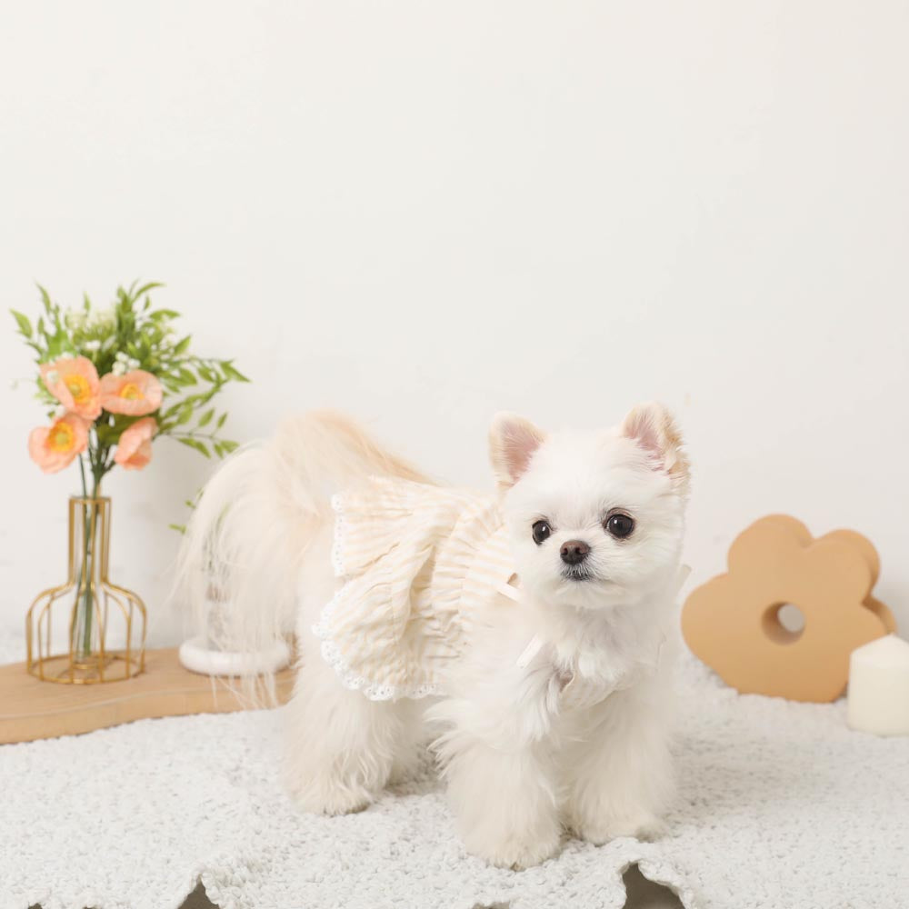 Cool striped tiered cami dress [Compatible with ice packs]