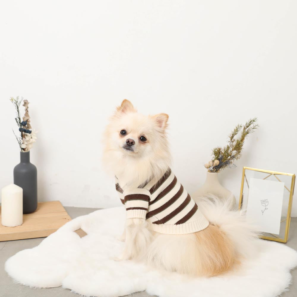 Multi-border knit top with collar