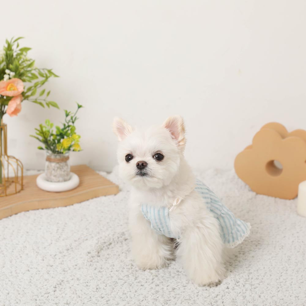 Cool striped tiered cami dress [Compatible with ice packs]