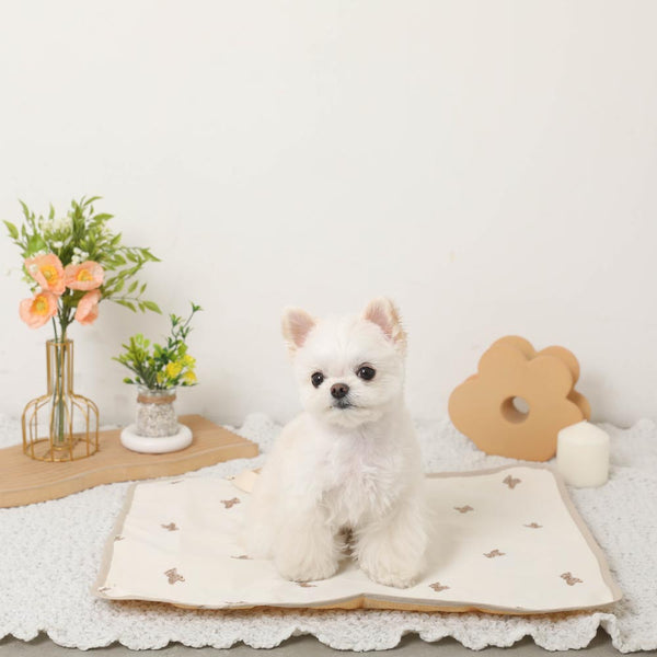 熊先生图案防水紧凑咖啡垫【名纹刺绣对应】