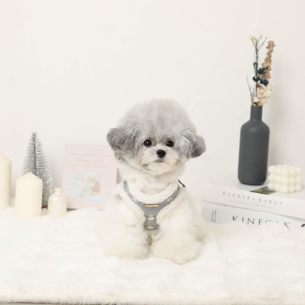 Snowman pattern embroidered boa harness + lead set [Name embroidery available]