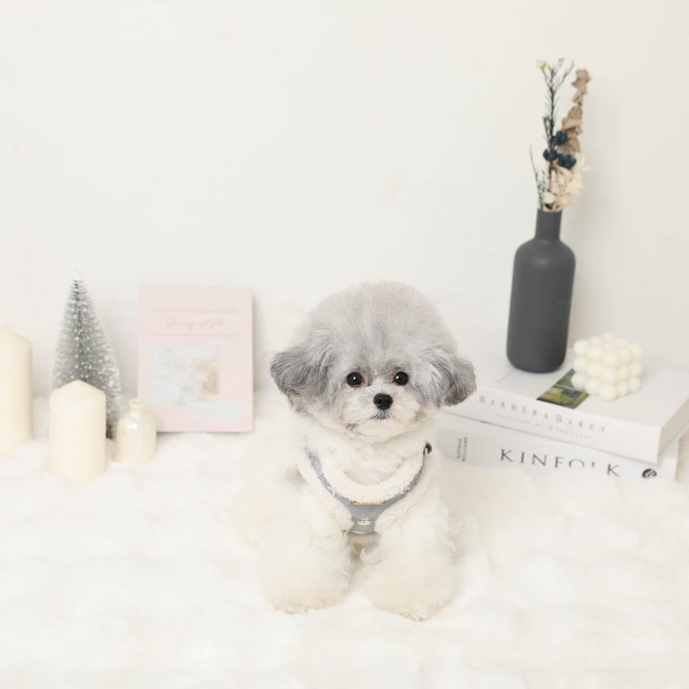 Snowman pattern embroidered boa harness + lead set [Name embroidery available]