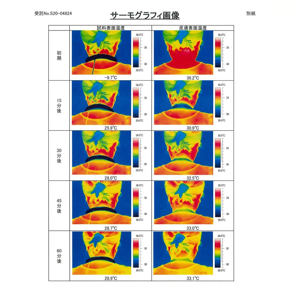 エコひんやりくまさん柄ネックリング Sサイズ